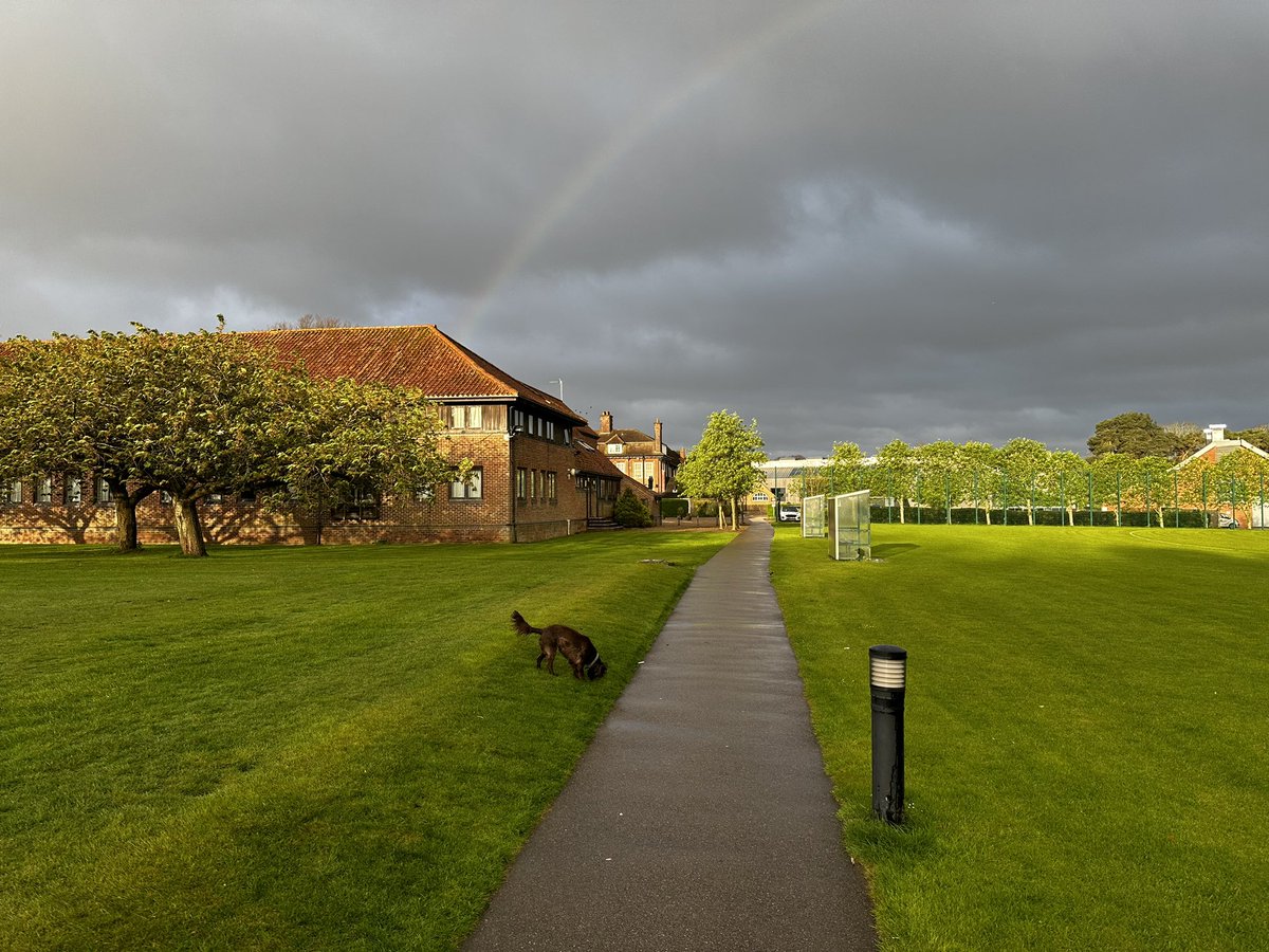 Douglas Robb tweet media