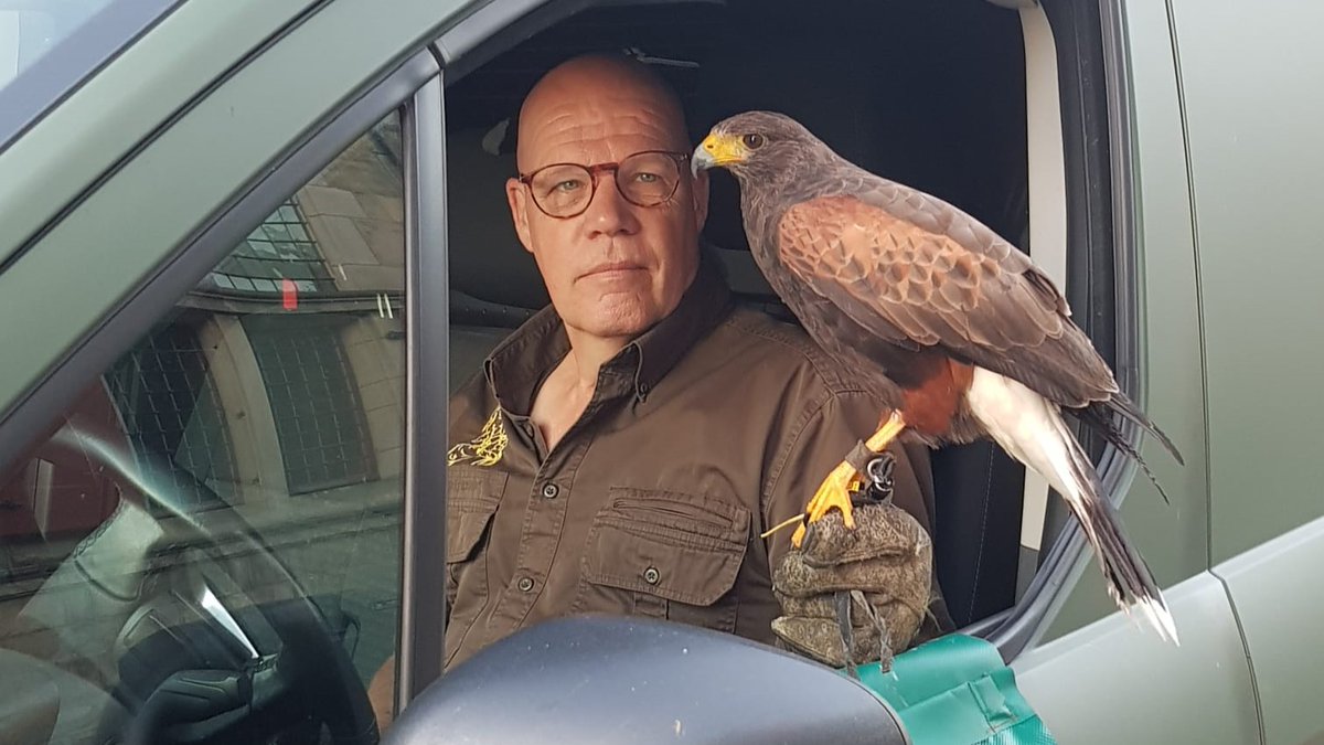 In de Delftse binnenstad leven veel meeuwen. Die meeuwen zorgen voor overlast, zeker nu het broedseizoen gestart is. Om meeuwen uit de binnenstad te verjagen worden roofvogels gebruikt. 

omroepdelft.nl/omroepdelft/ni…