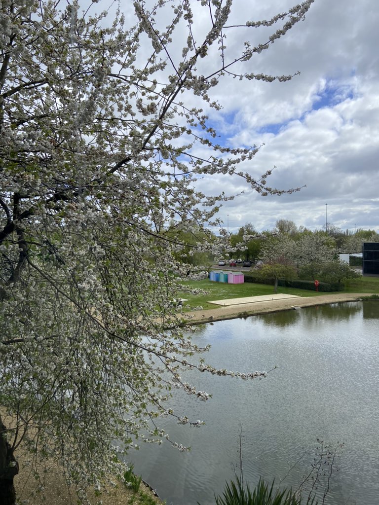 Spring is arriving at Lakeside