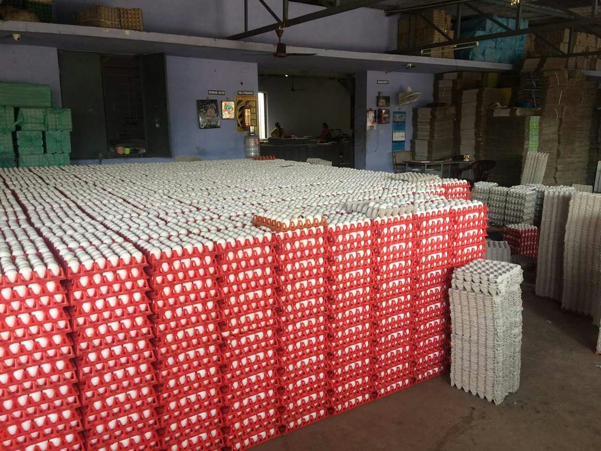 ArputhamExport's tweet photo. We're proud to announce that we are the largest exporter of chicken eggs from India, holding 70% of the market share! 📷📷 Interested in importing fresh Indian Table Eggs? Contact us now!
Visit Us: https://t.co/JopXYGnN1s
#EggExporter #IndianEggs #arputhamexports  #eggexporters https://t.co/V5DRxGumJ8