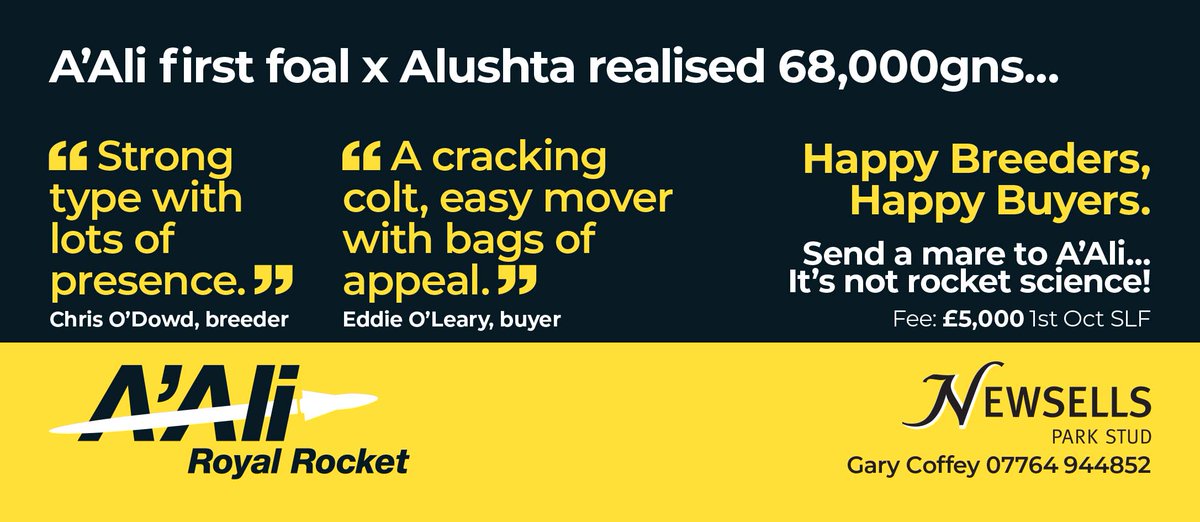 ⚫️🟡 @newsellspark's A'ALI 🟡⚫️ A'Ali first foal x Alushta realised 68,000gns... 🗣 'Strong type with lots of presence' - Chris O'Dowd, breeder 🗣 'A cracking colt, easy mover with bags of appeal' Eddie O'Leary, buyer Visit ➡️ newsells-park.com/stallions/aali/ #ReadAllAboutIt