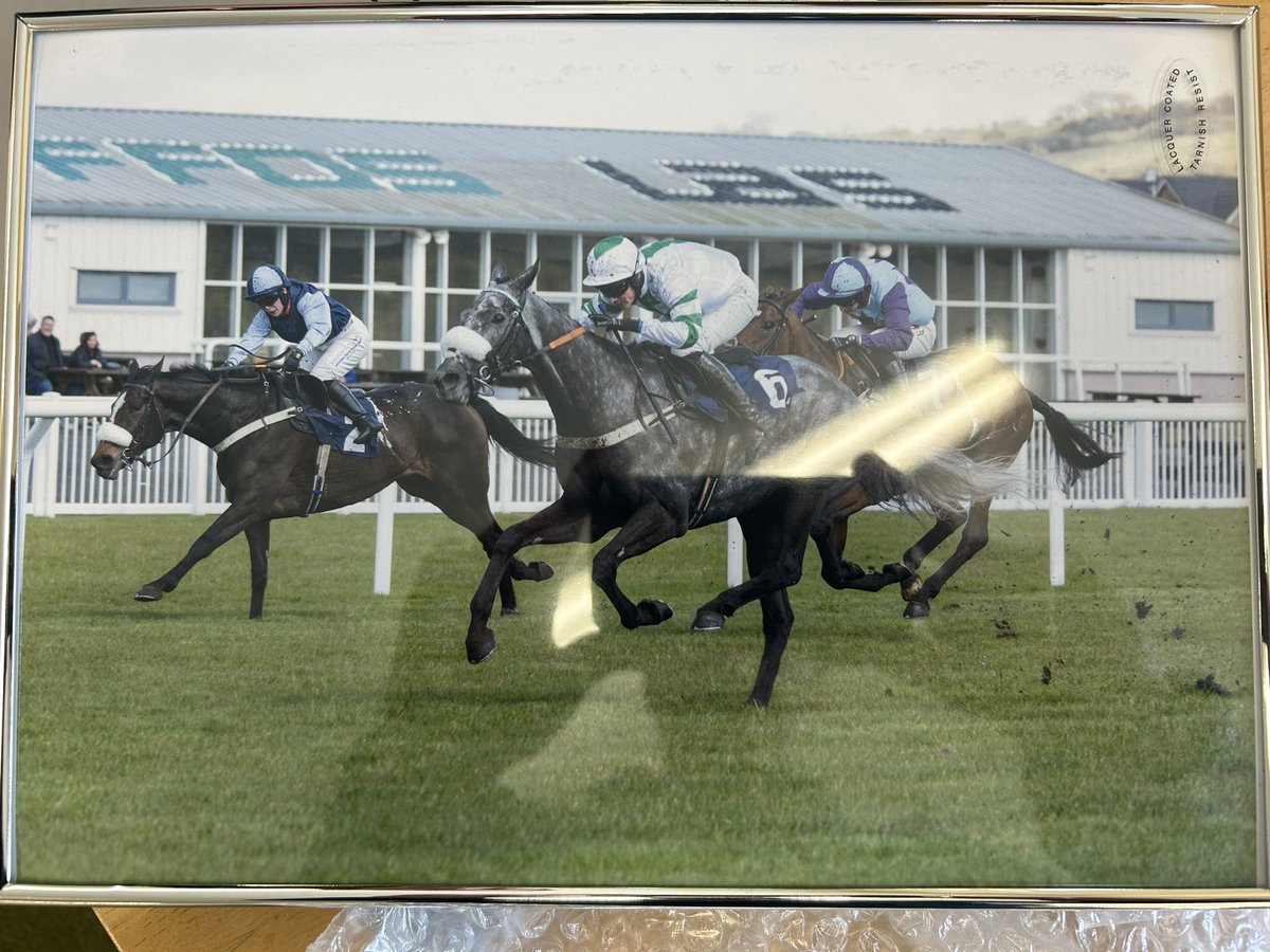 Delighted to get our 25th winner of the season! Super ride by Charlie Price who also rides him everyday at home! @OTG_Racing