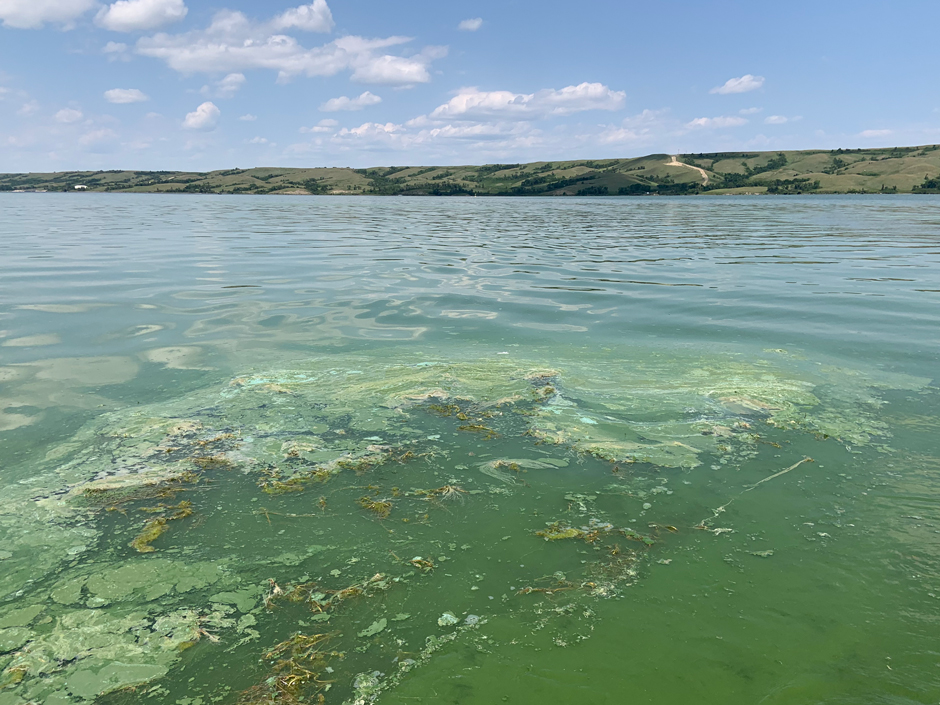 Water insecurity in the prairies of Saskatchewan highlights the need for water quality monitoring to inform resource management. 🚰📲 #waterquality #buoy #limnology #nutrients @usask

Read the full story ➡️ fondriest.com/news/combating…