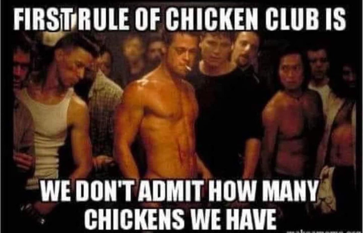 Never EVER admit!

#goose #geese #flock #meme #goosehouse #chicken #poultry #hens #eggs #joke #haha #farming #chickens #hilarious #lol #crazychickenlady #crazychickenman #laugh #happychickens #chickenlife #petchickens #happyhens #freerangechickens #animals #farmjokester
