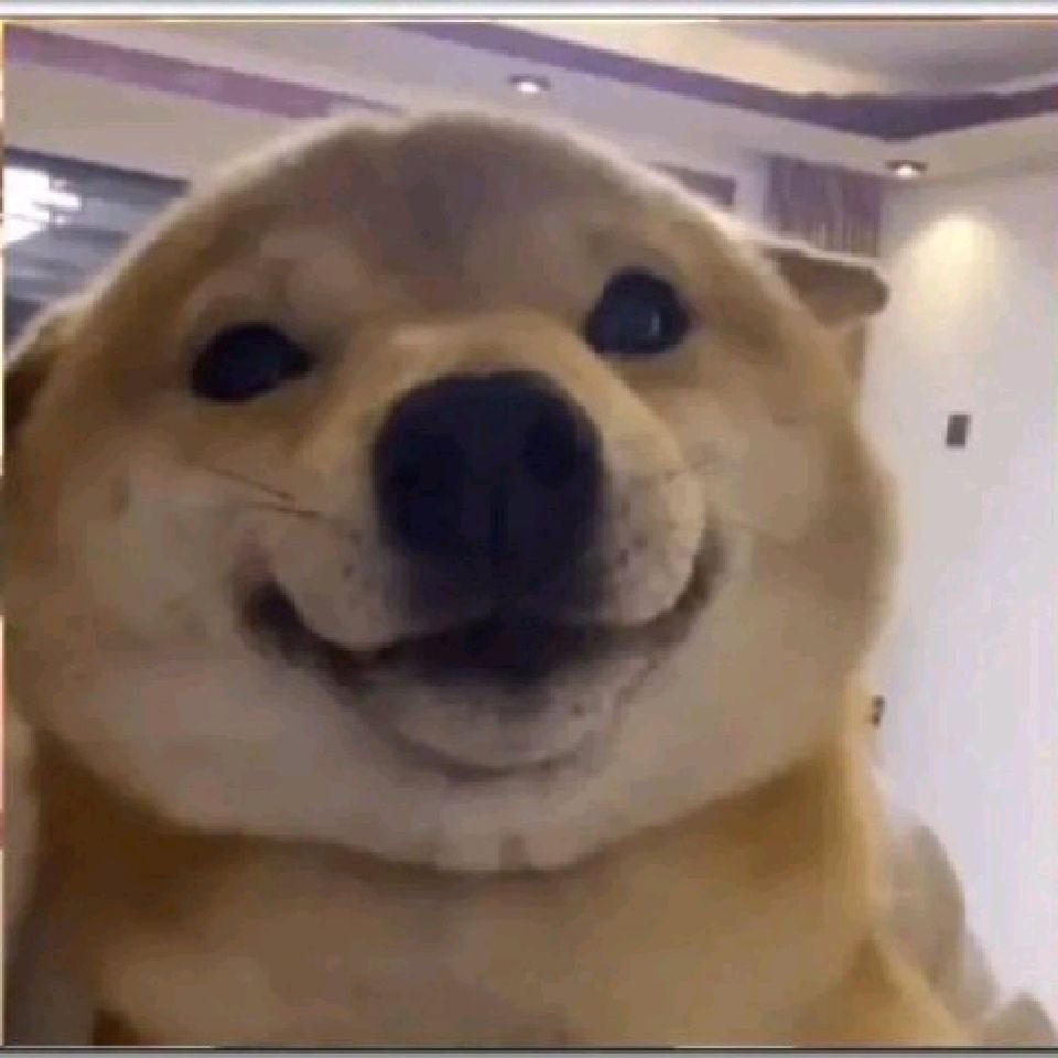 111-成都 tweet media