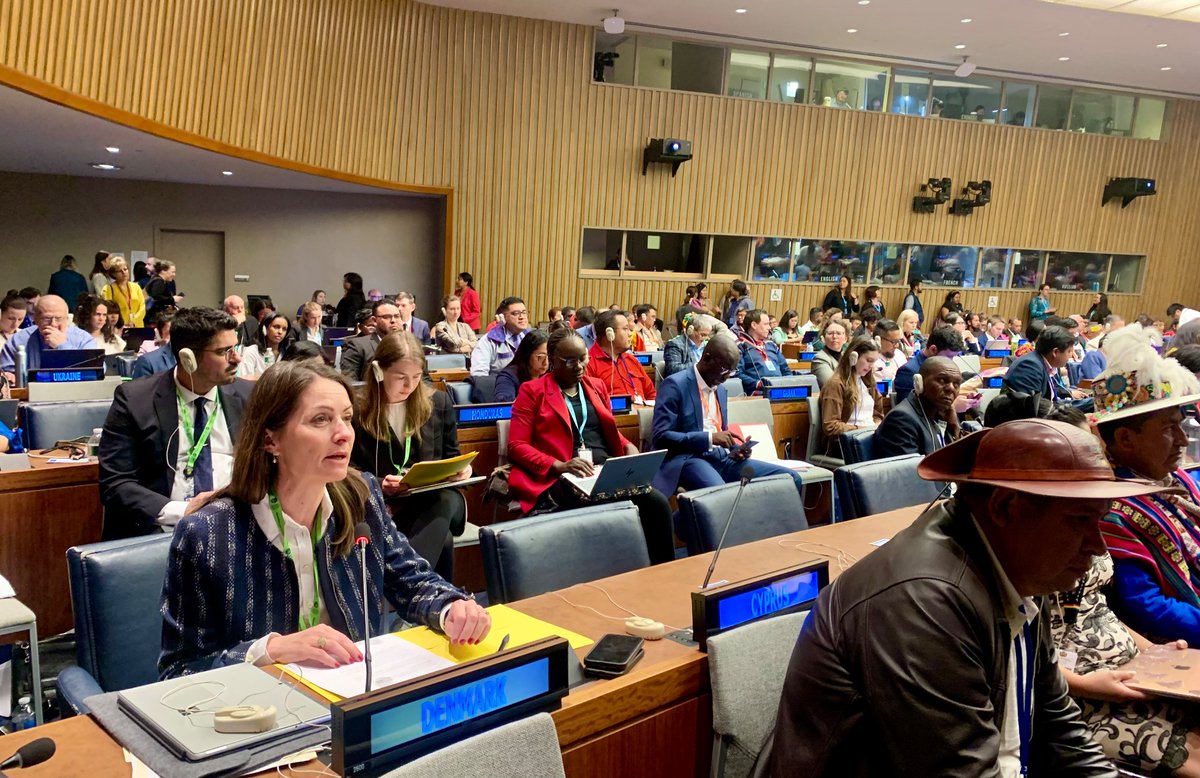 “We need decisions & concrete actions to enhance Indigenous Peoples’ full & effective participation in all decisions affecting them”. Today 🇩🇰🇬🇱 presented a statement on behalf of the Nordic countries🇩🇰🇬🇱🇫🇮🇮🇸🇳🇴🇸🇪 at #UNPFII disc. On Indigenous Peoples’ right to self-determination