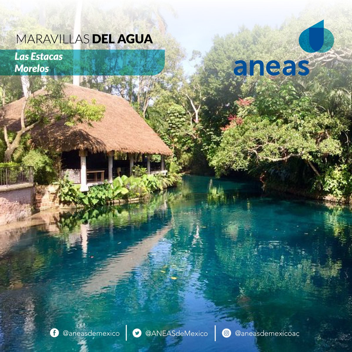 🌊🌊Esta ANP, que consta de 652.17 hectáreas, alberga al manantial 'Las Estacas' que cuenta con un aforo de 6.7 metros cúbicos de agua 💧 por segundo. #ANEAS #LaRedQueSumaFluyeyConecta 💦 #CulturaHidrica #MaravillasDelAgua