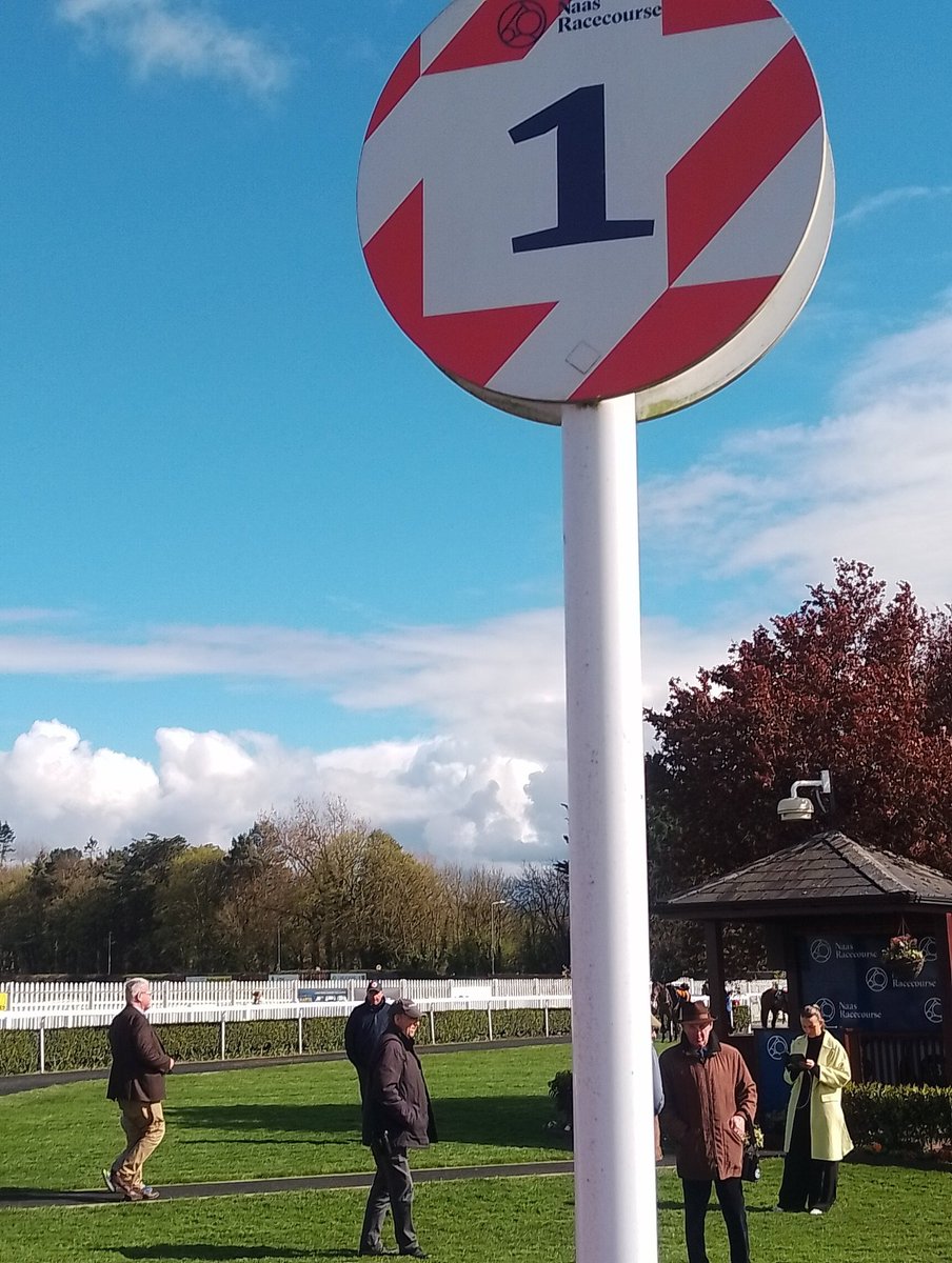 Double for Grand National winning owner JP McManus Crecora Hills wins for Robert Tyner under Mark Walsh 🟢🟡 #HorseRacing #Naas