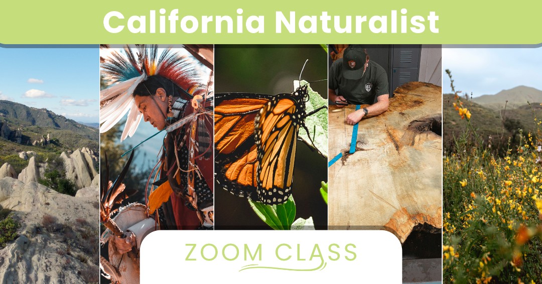 SamoFund's tweet photo. Tickets for the Next Cal Nat Class now open:
https://t.co/I7JQbv2BKO
#CaliforniaNaturalist #NatureClass #EnvironmentalEducation #SantaMonicaMountains https://t.co/dXehPe0O3A