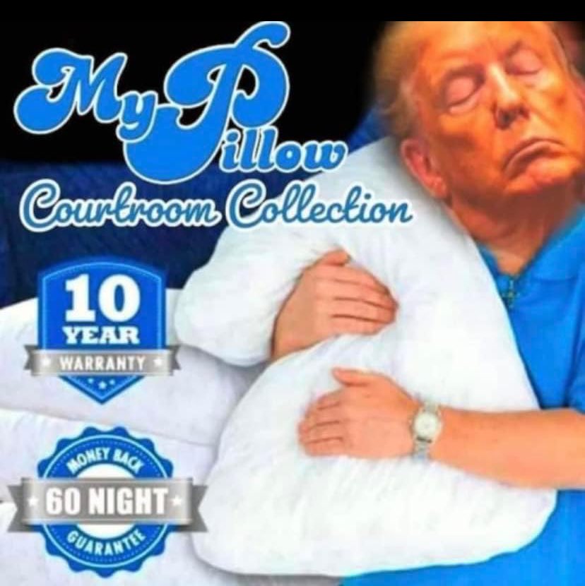 The perfect shitty pillow for Donnie to lay his orange pasted face on in the courtroom for his nap! 😂 #TrumpTrial #ElectionInterference #DonTheCon #SleepyDon #DonSnoreleone #DopeyDon