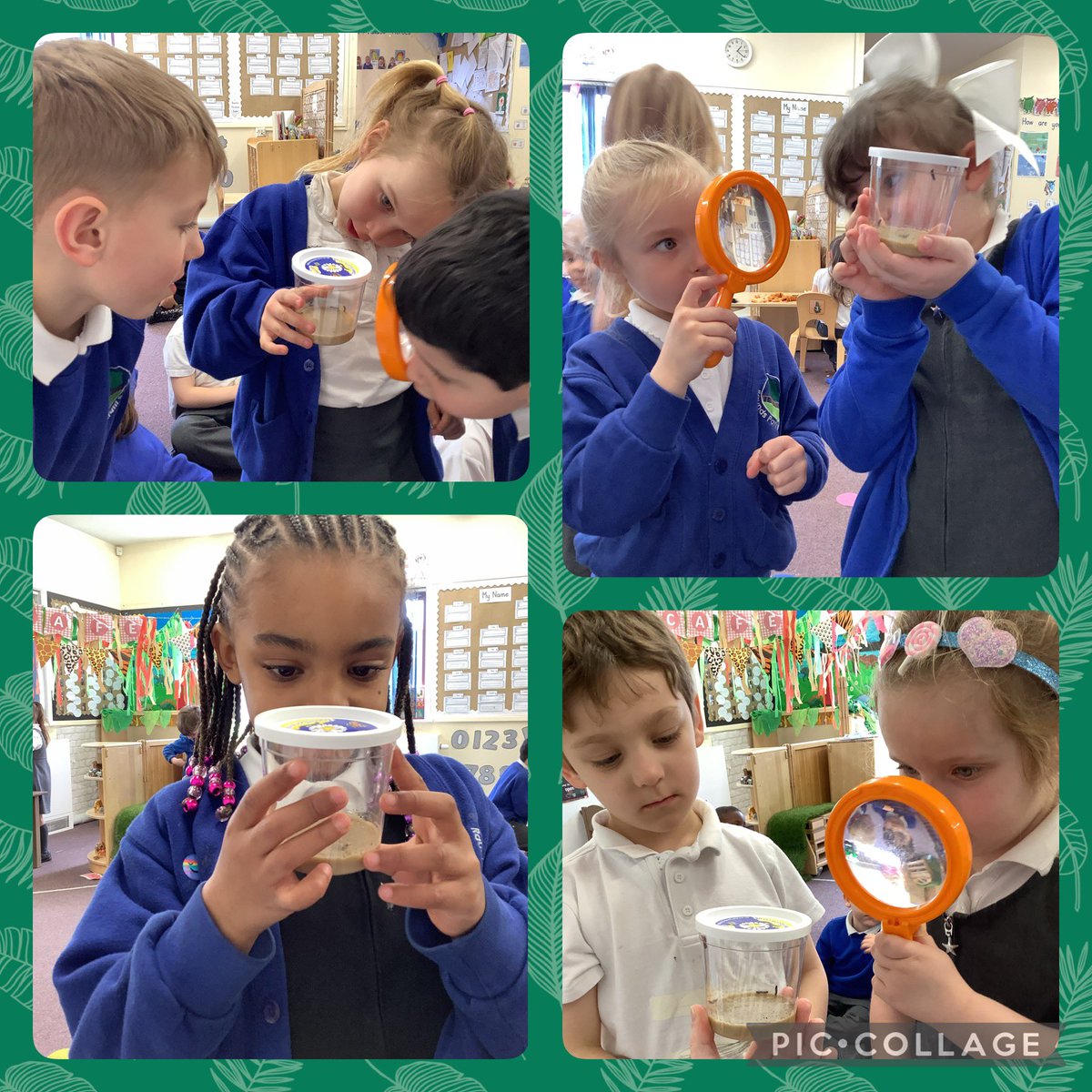 Puffins_RPI's tweet photo. We had some very special new additions to Reception today 🐛 The children were so excited and they are bursting to tell their adults all about them!🦋 @RaundsPark https://t.co/c0iBQpYHP2