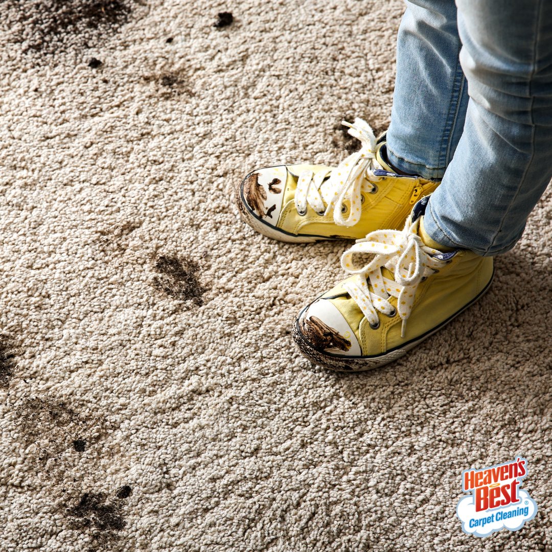 Dirty shoes are no match for Heaven's Best! 👟✨ We are the stain removal experts - get in touch with us today to schedule your carpet cleaning!

heavensbestindy.com
#heavensbest #carpetcleaning #floorcleaning #tilecleaning #upholsterycleaning #residentialcleaning