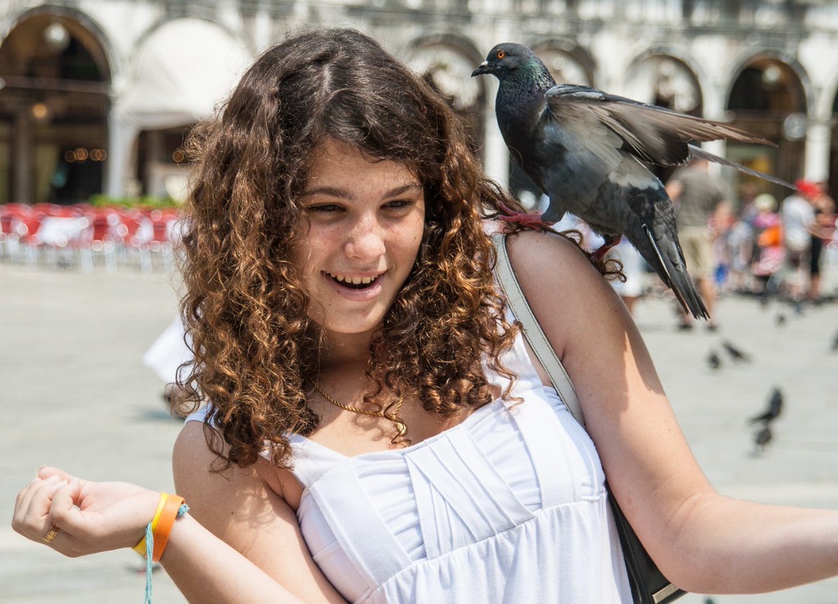 It’s #traveltuesday in the #piazzasanmarco in #veniceitaly. Would you like to see #stmarkbasilica or watch pigeons “attack” tourists? #stmarkssquare #venice #venicevibes #italytravel #travelwritersuniversity #ifwtwa1 @ifwtwa1