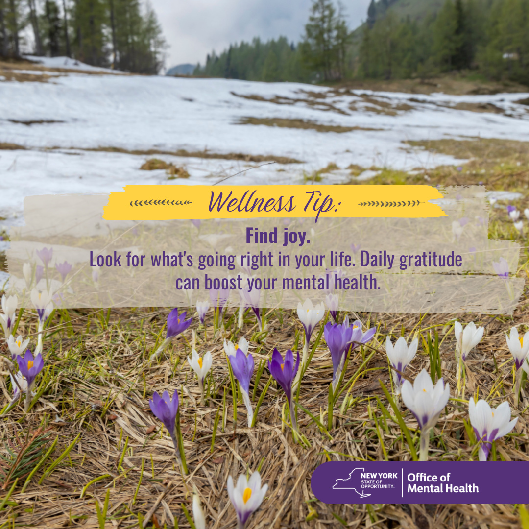 What are 3 things you are grateful for? 🌷 #wellnesstiptuesday #wellnesstip #tiptuesday #mentalwellness #mentalhealthmatters