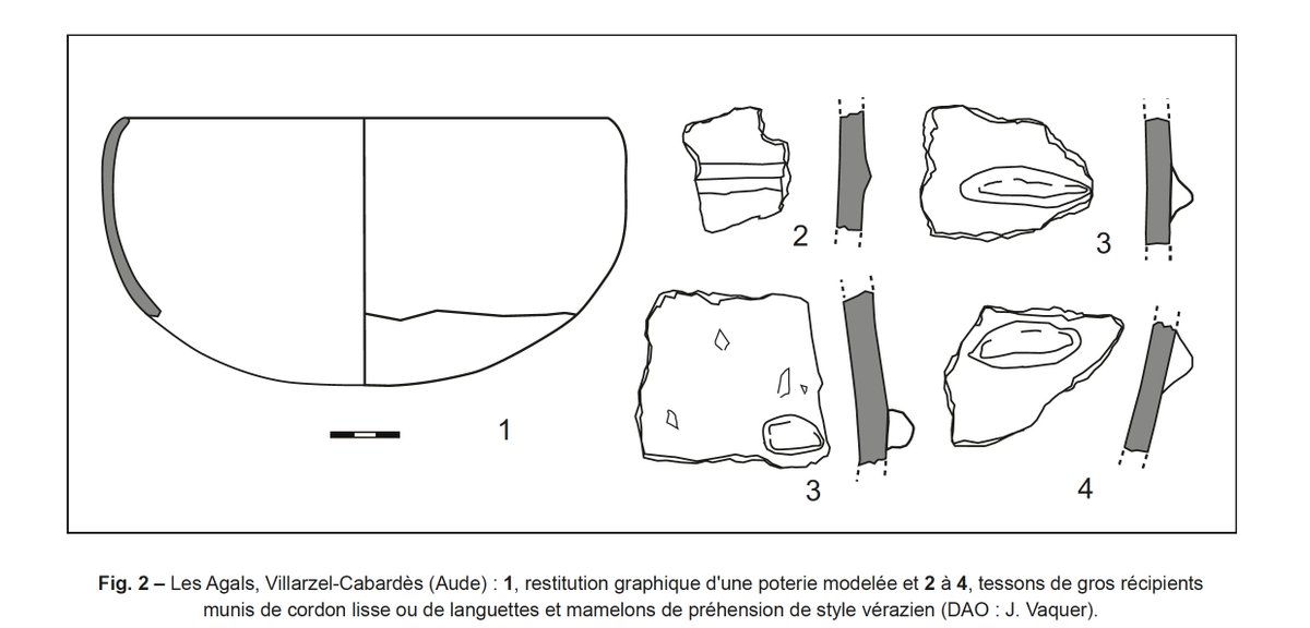 Société préhistorique française tweet media