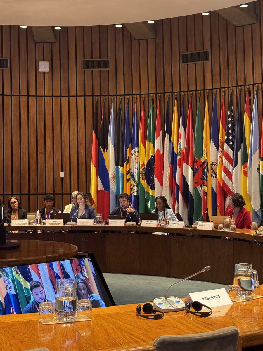 La red latinoamericana de egresadxs de protección participa del Foro de Niñas, Niños, Adolescentes y Jóvenes en el marco del VII Foro de los Países de América Latina y el Caribe para el Desarrollo Sostenible