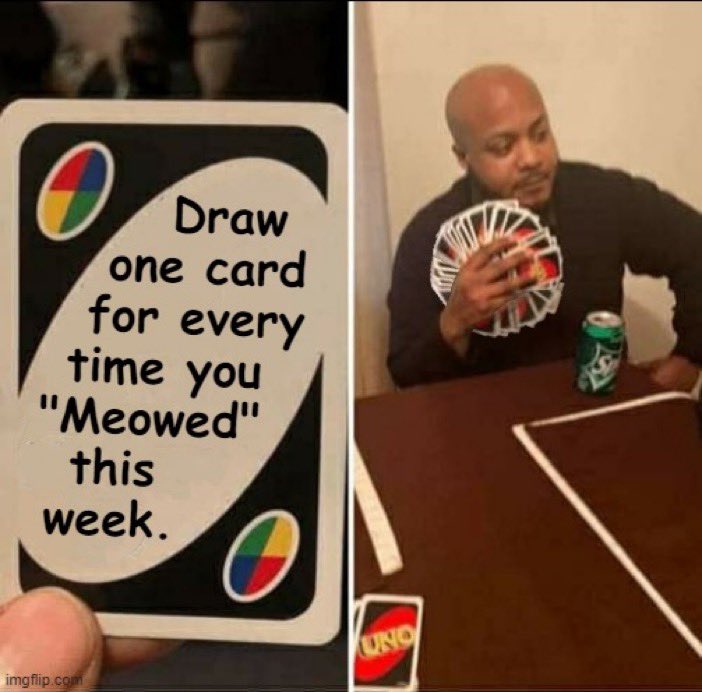 🌟Cheshire Cat ᓚᘏᗢ, tweet media