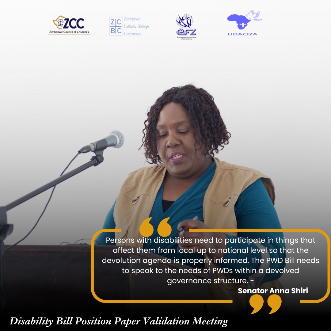 Snippet of Senator Anna Shiri from todays Disability Bill Position Paper Validation Meeting . @ZHOCD @ParliamentZim @trocaire @euinzim @3KtvZim @NewsDayZimbabwe