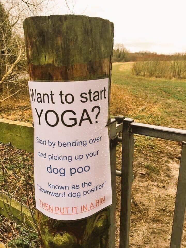Want To Start Yoga ?