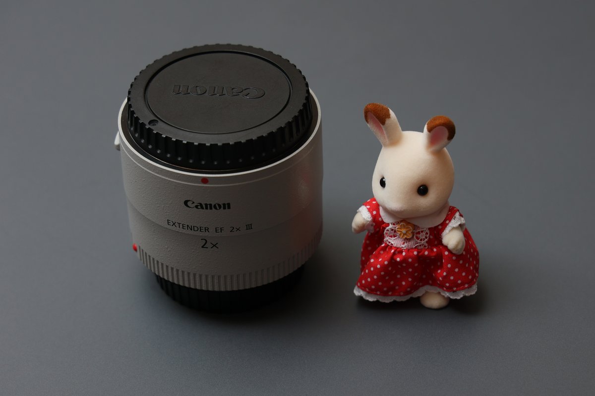 レンタル品 返却前記念撮影

EOS R6
RF24-105mm F4 L IS USM
#eosr6 #canon