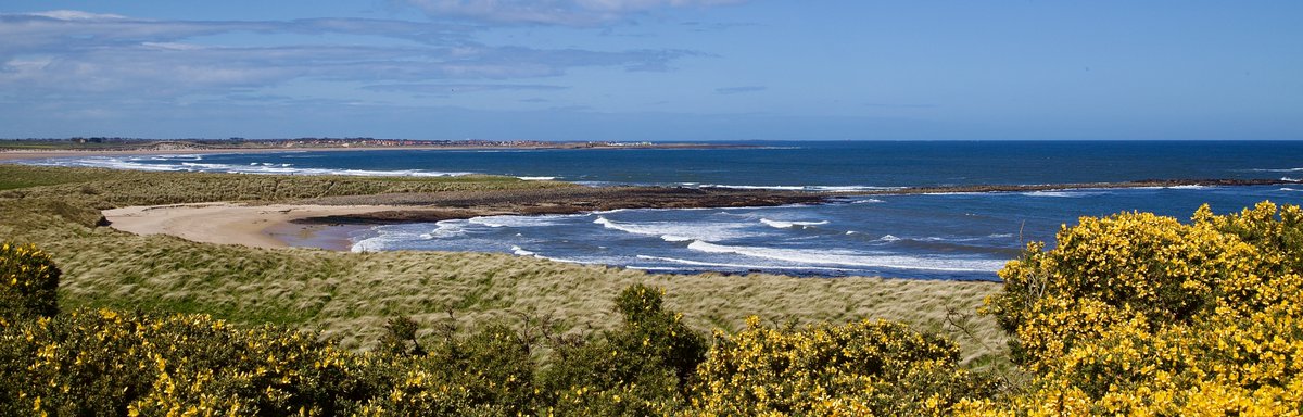 The views around Newton Point. I walk here often but there is always one point where I stop and just gawp at the beauty of it all. #Northumberland