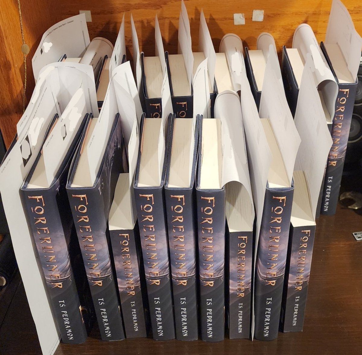 Prepping Kickstarter orders! 
I still need to sign these and some of them need extras included. I need to get them organized to make sure I don't mix any of them up. 

#Kickstarter #fulfillment #epic #fantasy #signedbooks #bookstagram #forerunner #dustjacket #author