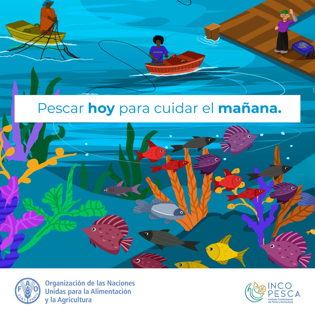 La #PescaSostenible es pescar hoy responsablemente, para tener recursos en el futuro. Es un deber hacer un uso adecuado de los recursos naturales.

🐟

Más información 

▶️fao.org/voluntary-guid…