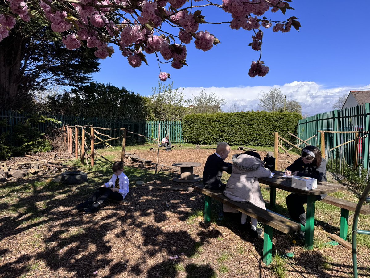 Eco club are enjoying designing their tree champion under the blossom tree today. @WoodlandTrust