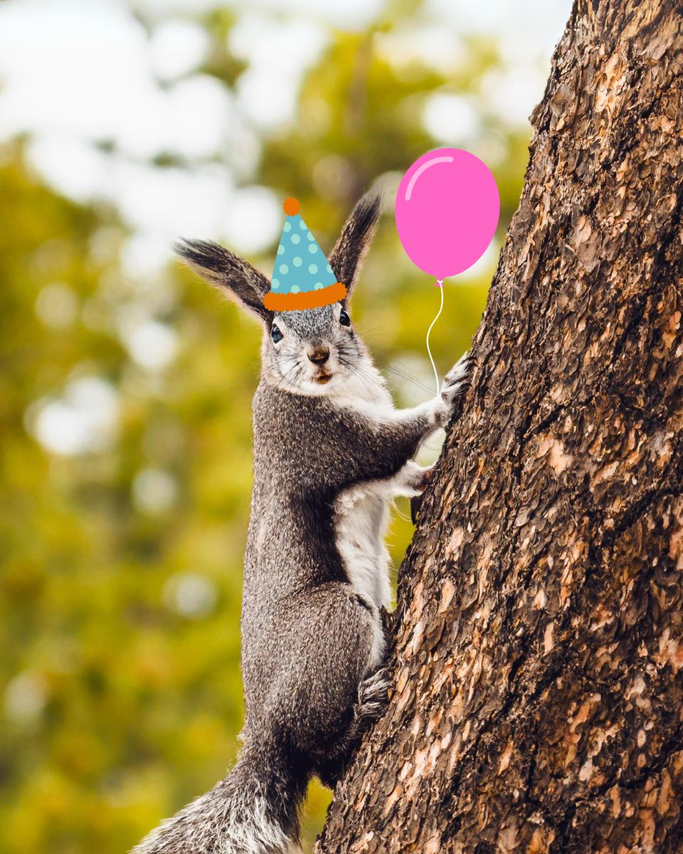 Colorado Parks and Wildlife tweet media