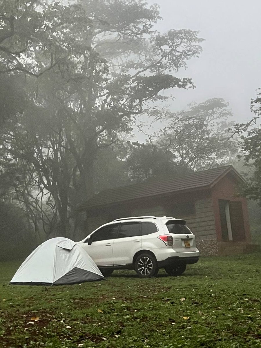 Tis that season!

Lush greenery surrounds you. Raindrops patter on your tent as you snuggle into the warmth of your sleeping bag, the world's worries fading with each gentle lull.