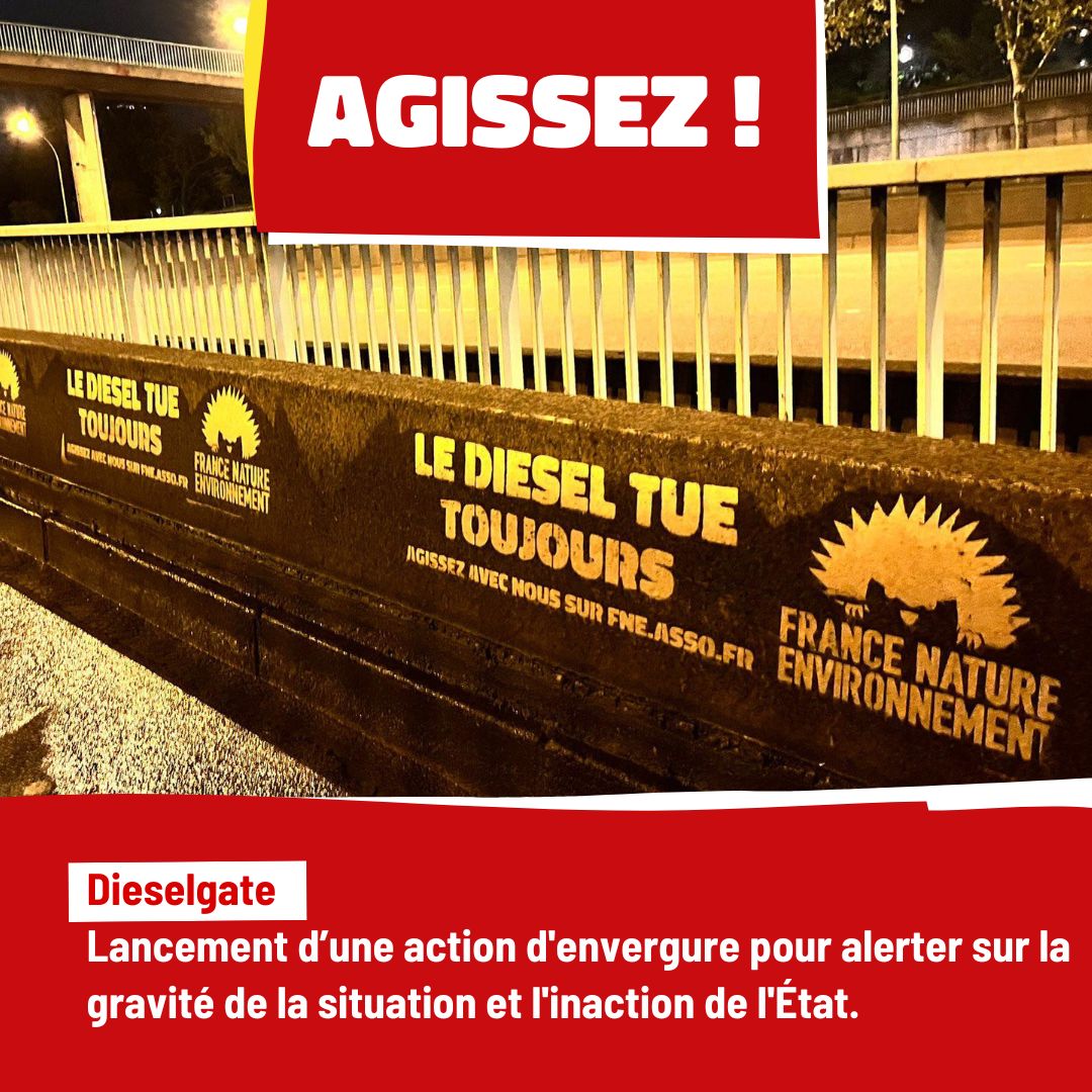 📦🦋 France Nature Environnement tweet media