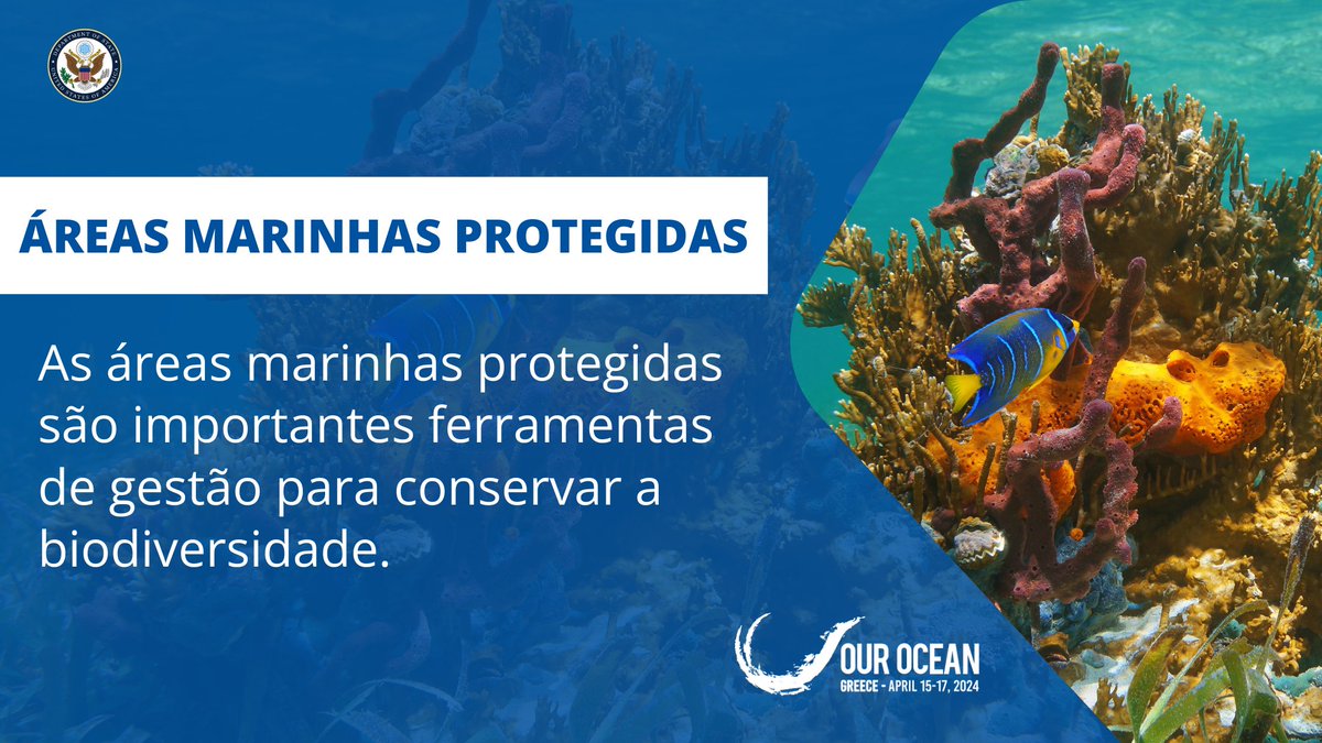 Hoje começa a Conferência #OurOcean2024 na Grécia. Mais de 80 países assinaram o Tratado de Alto Mar, que visa proteger a biodiversidade em águas internacionais. Juntos podemos trabalhar para estabelecer áreas marinhas protegidas.