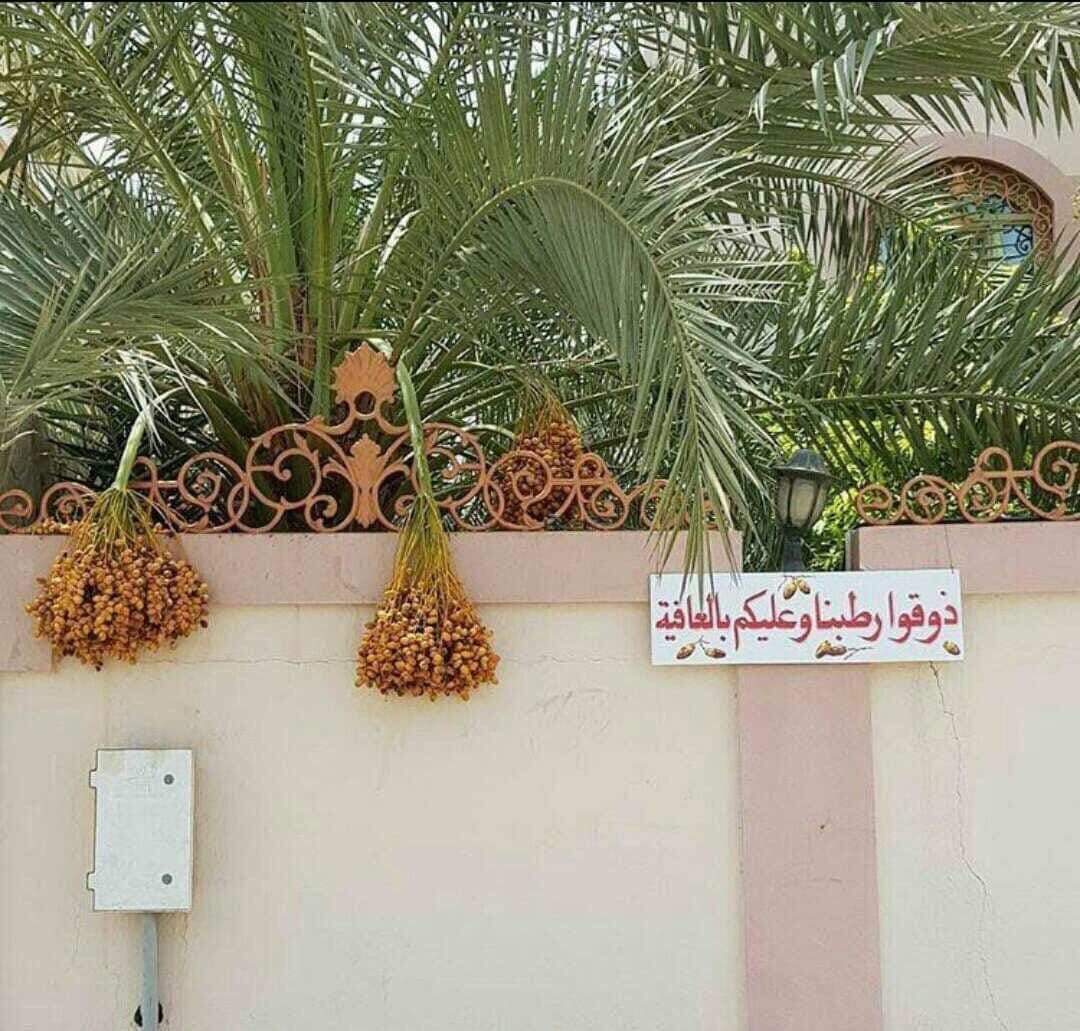 Balaghl's tweet photo. "إنَّ الكِرامَ وإن ضَاقَ معِيشَتهُم
 دَامت فَضيلتُهم والأصلُ غلَّابُ"🤍 https://t.co/TmMHaJpXs1