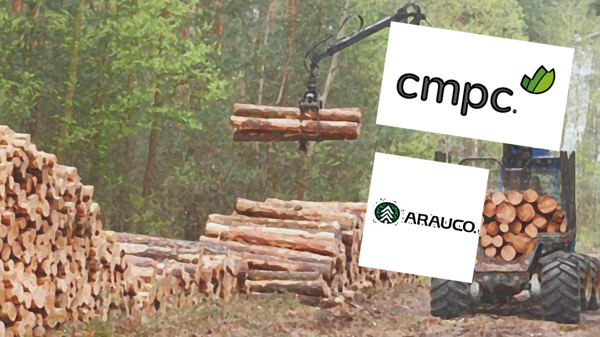 Chile. Dueños de industria forestal dicen estar en crisis, pero se han hecho multimillonarios con subsidios y ‘regalos’ del Estado, explotación obrera y destrucción de naturaleza federacionccu.cl/2024/04/16/chi…