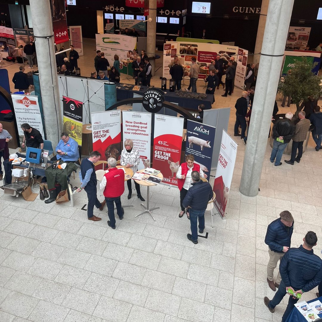 Irishpighealth's tweet photo. Our 2024 trade show is in full swing!👌 Be sure to stop by for a chat.

#IPHS #2024Symposium https://t.co/T49BbDYnDQ