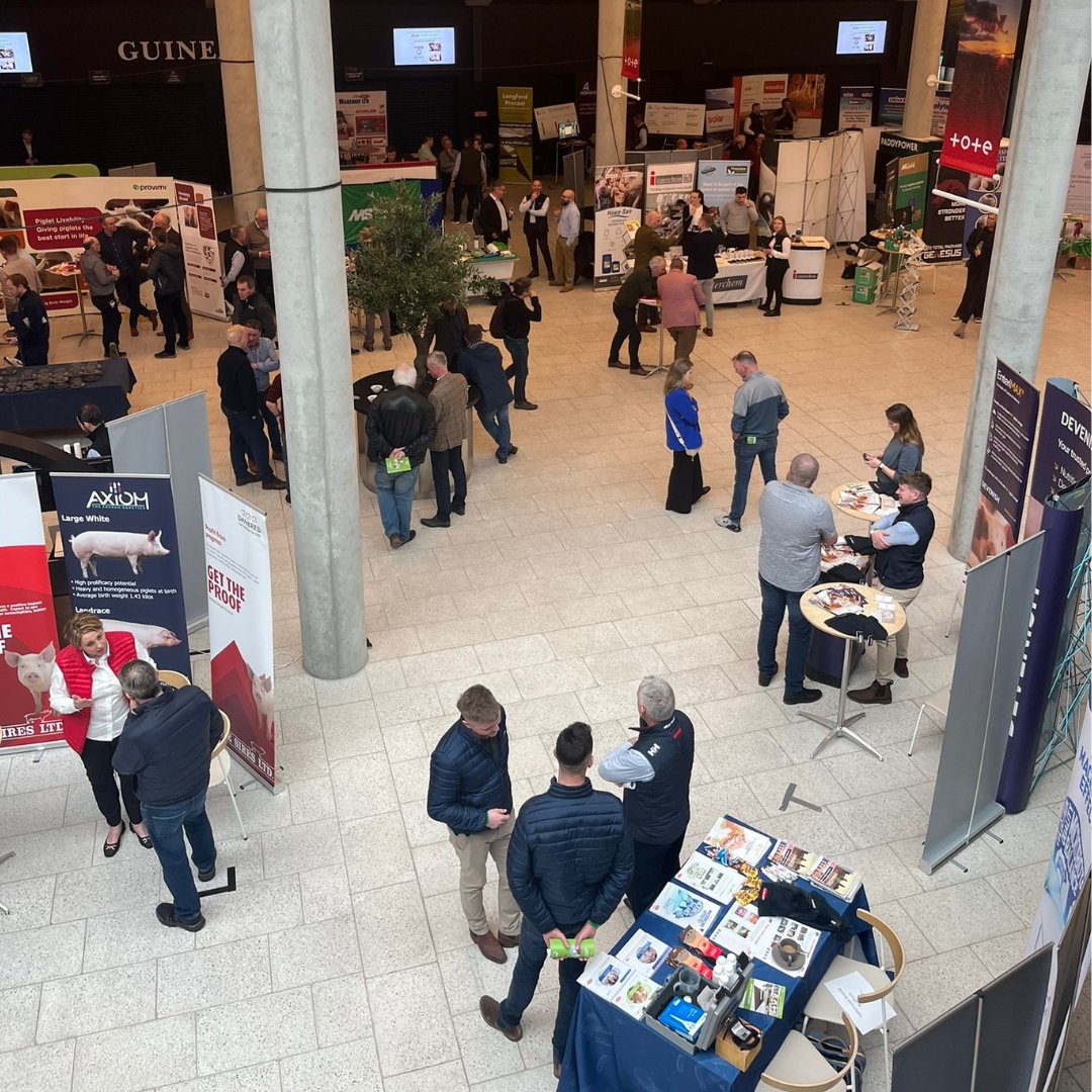Irishpighealth's tweet photo. Our 2024 trade show is in full swing!👌 Be sure to stop by for a chat.

#IPHS #2024Symposium https://t.co/T49BbDYnDQ