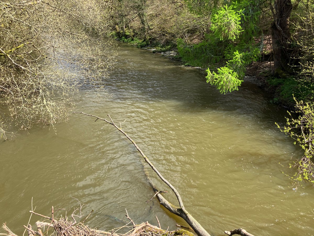 This is the state of the River Ithon at Disserth today at 1pm, is this natural?