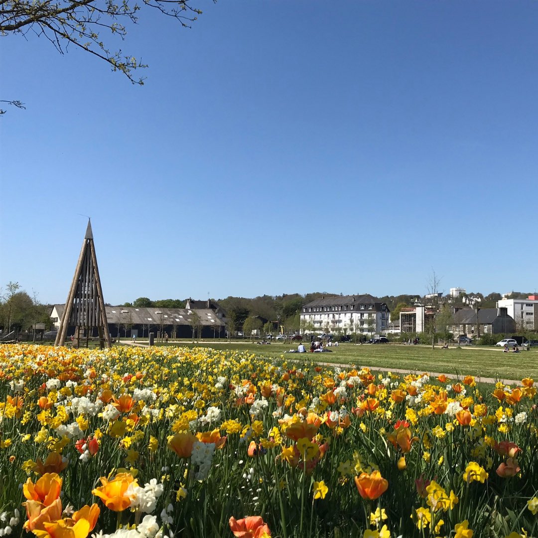 🇫🇷 Dans le Finistère, la commune de Landerneau a lancé l'opération 'Fleurissons nos trottoirs' ! Le but : offrir des graines aux habitants pour qu'ils les sèment devant leurs maisons ! 🌻(Ouest-France)

📸 landerneaubzh