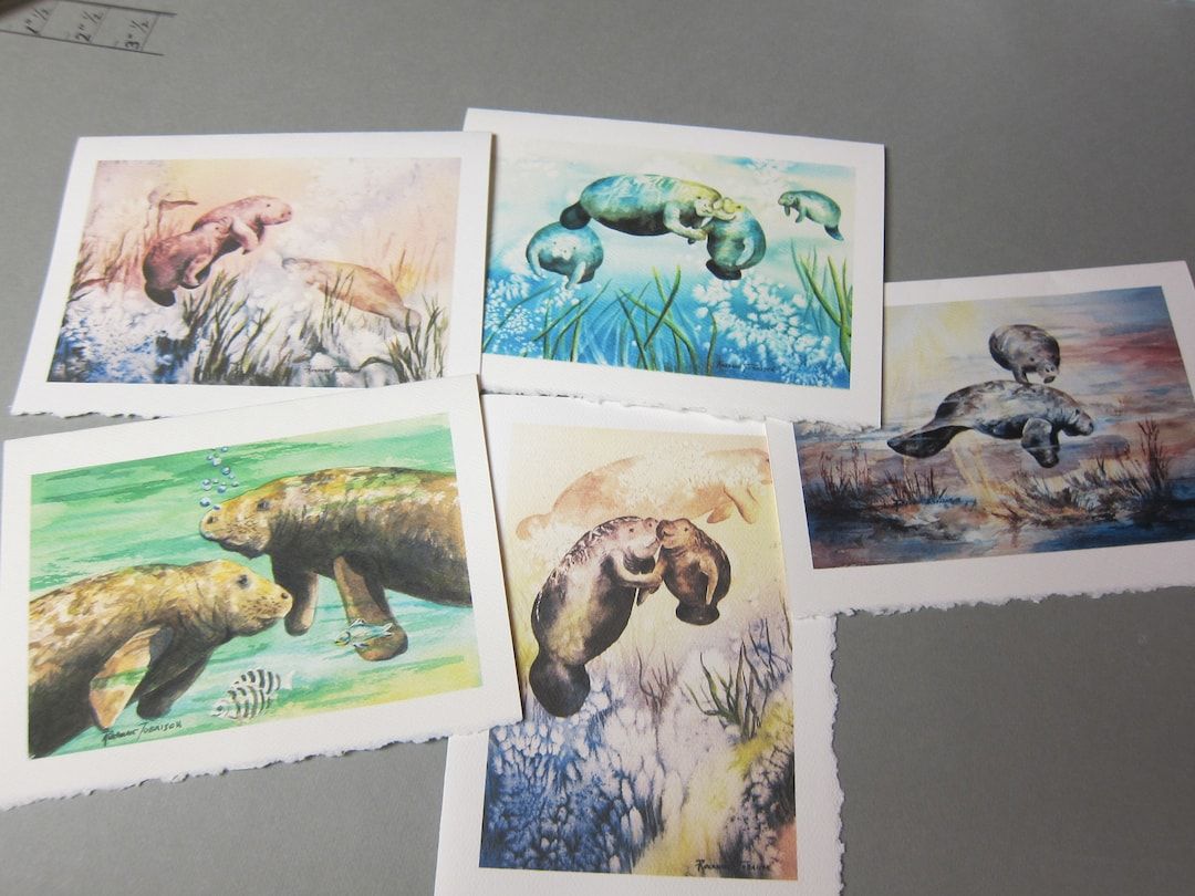 5 Note cards - #Manatee Variety 5 x 7 note #card @RTobaison #WatercolorNmore Florida etsy.com/listing/105583… #cctag @RTobaison #NoteCards