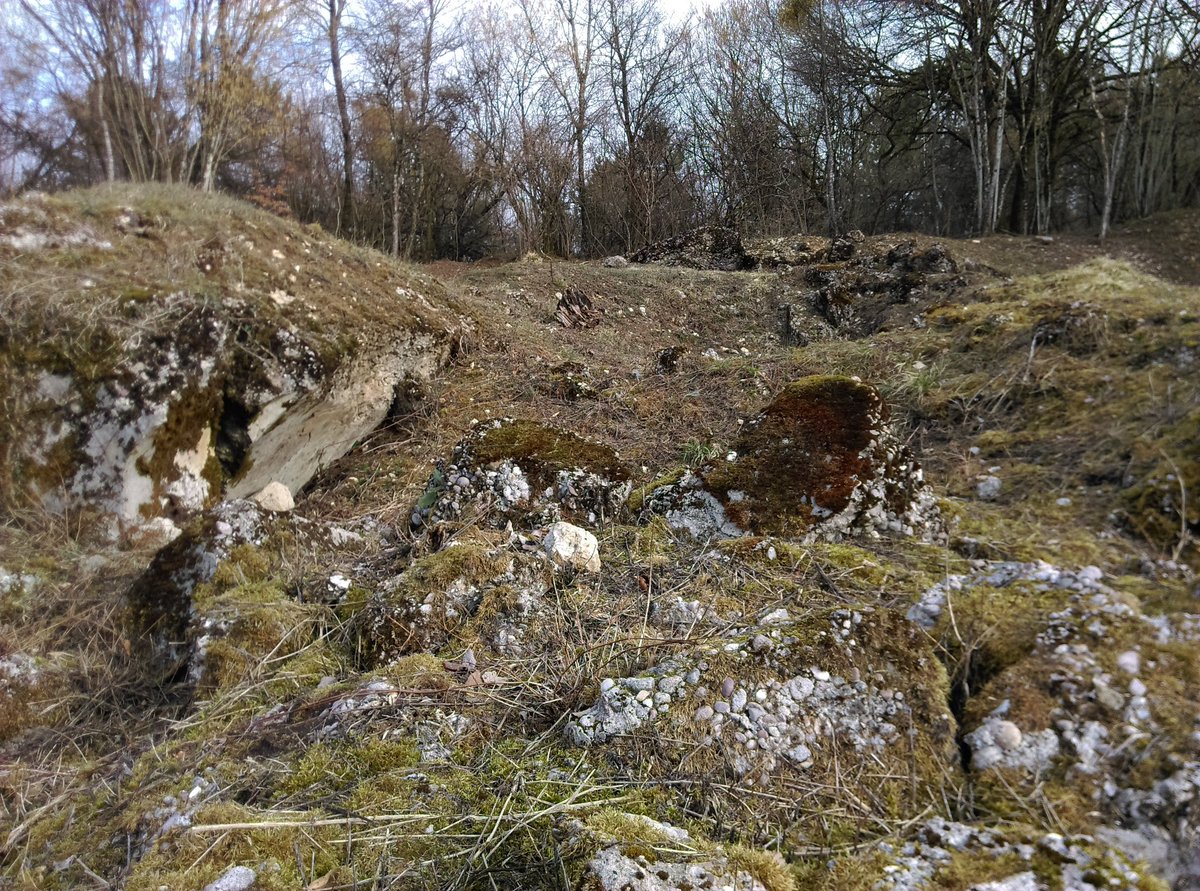 Part of the Bezonvaux redoubt, #Verdun, occupied by the Germans for most of 1916. There were 2 vaulted rooms used by the medics, one as the operating room & the other as the waiting room. One still stands, the other was destroyed by #artillery fire #FWW #WW1