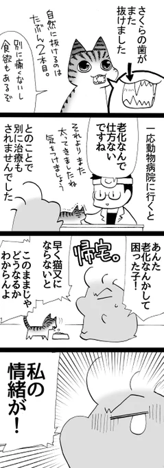 四コマ「もう遅そう」

さくらは永遠の美少女なのに…。

#四コマ漫画 #御かぞくさま御いっこう 