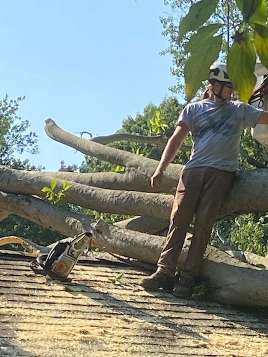 RayTheTreeGuy's tweet image. Need a risky tree taken down? Our team specializes in safe and efficient tree take down services. Let us handle the dangers. Call us today at (860) 206-3851. #TreeTakeDown #GlastonburyCT
treeserviceglastonbury.com/tree-take-down