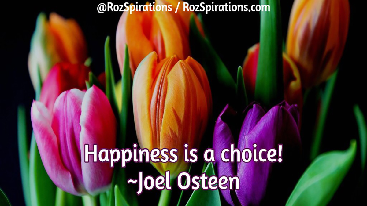 Happiness is a choice! ~Joel Osteen #RozSpirations

#RozSpirations #InspirationalInfluencer #LoveTrain #JoyTrain #SuccessTrain #qotd #quote #quotes #HappinessIsAChoice #YourHappinessIsYourChoice #YourLifeYourChoice