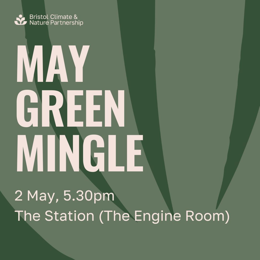 Join us for our next Green Mingle! 🌱 This month we'll be hearing about plans for the upcoming @Festofnature 📅Thurs 2 May from 5:30pm 📍The Station (The Engine Room) Reserve your free ticket: buff.ly/3TMKGaZ #Bristol #BristolBusiness