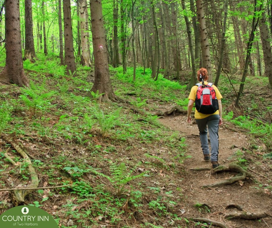 As the temperatures get warmer, enjoy a hike or bike ride on one of many trails in the area, such as the Superior Hiking Trail or the Gitchi-Gami State Trail. Don't forget to book your stay with us after a long day of exploring! 

countryinntwoharbors.com

 #Hiking #TwoHarborsMN
