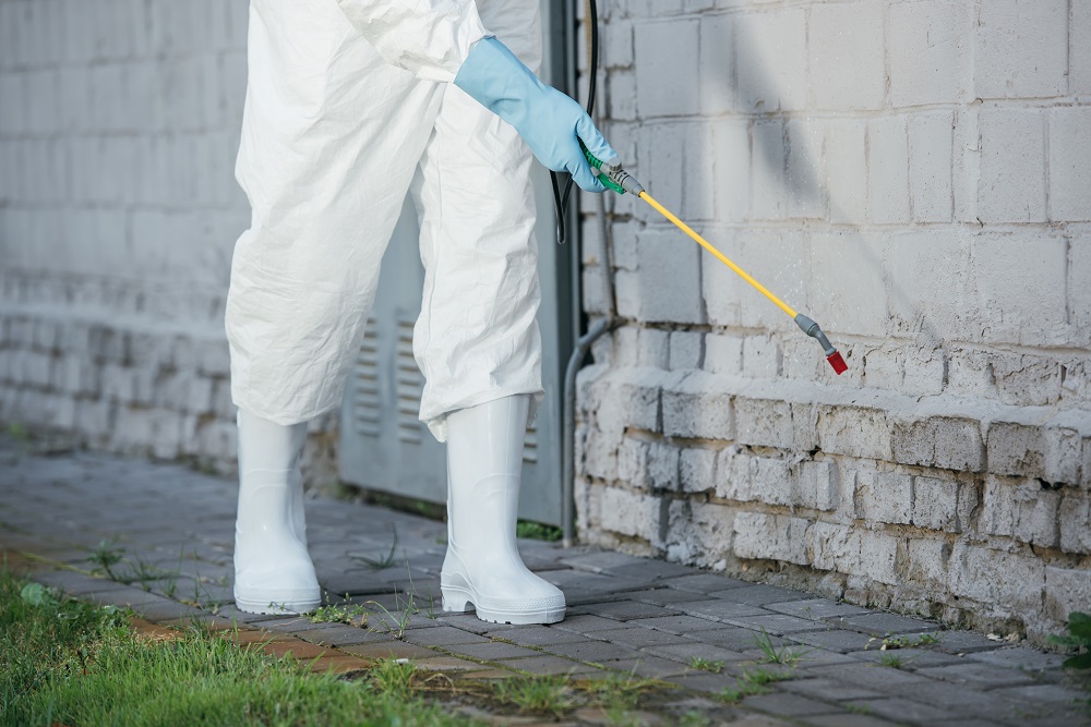 FloridaControl's tweet photo. We use superior pest control methods to get rid of those unwanted critters before they cause significant damage to your property. Visit our website to learn more! #PestControl #FloridaWildlifeControl 
 https://t.co/TRetRBrKlz https://t.co/0BH95P3s3r