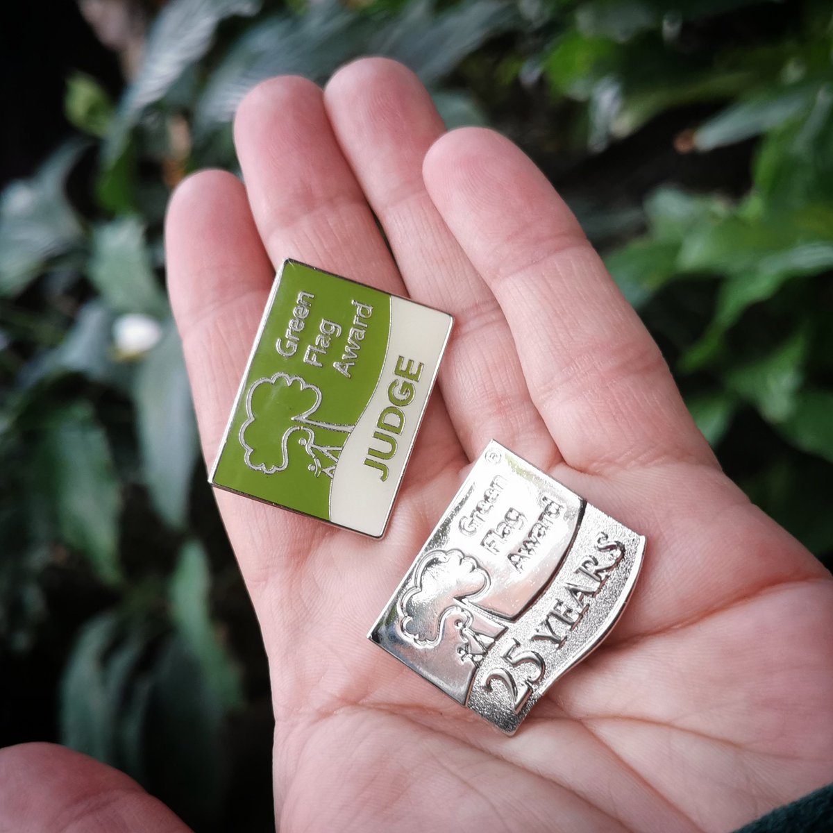 Hayley Thurrat tweet media