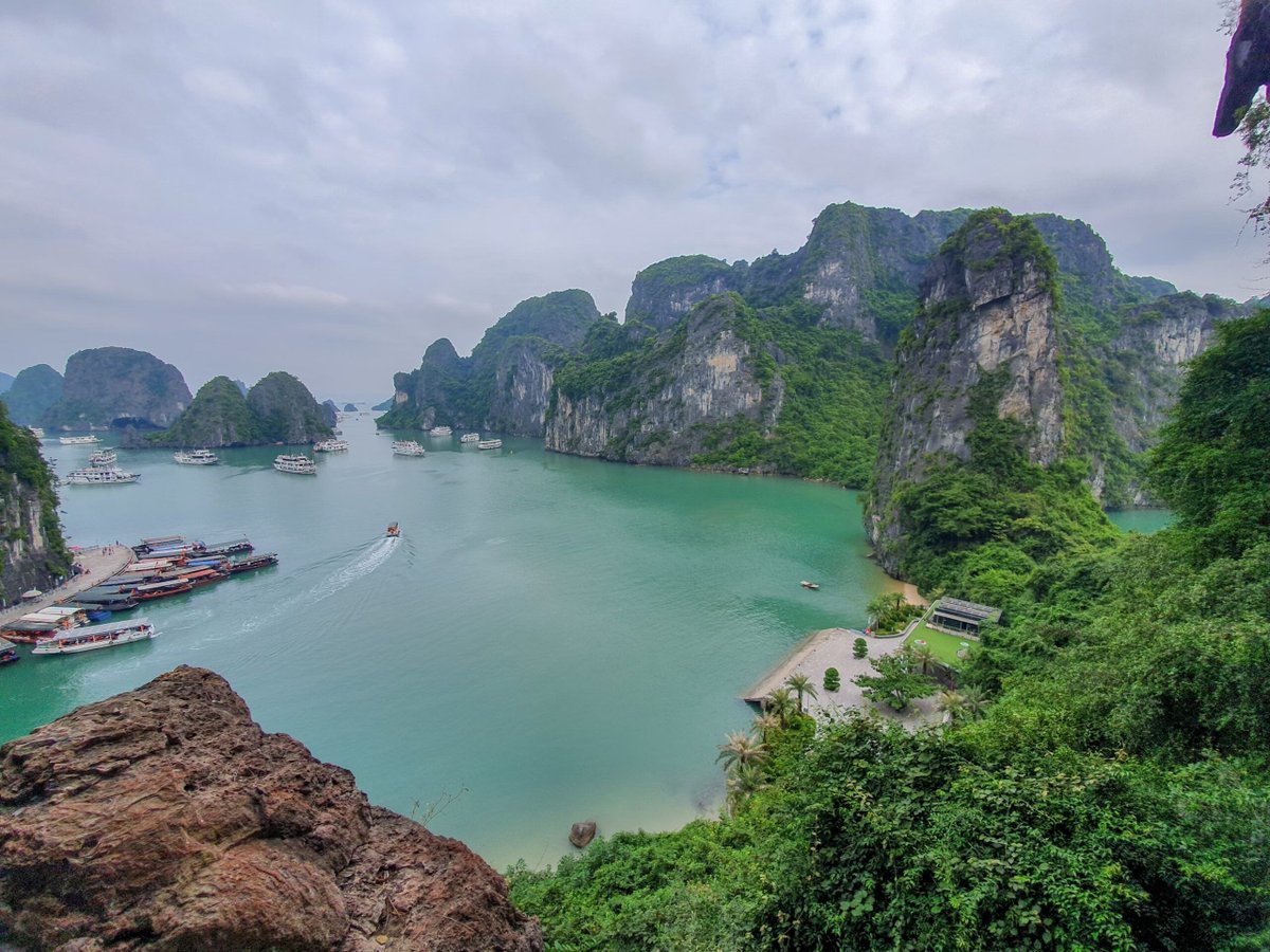 Climate tech startups, VCs give shape to Vietnam's sustainable economy buff.ly/49y1p7O