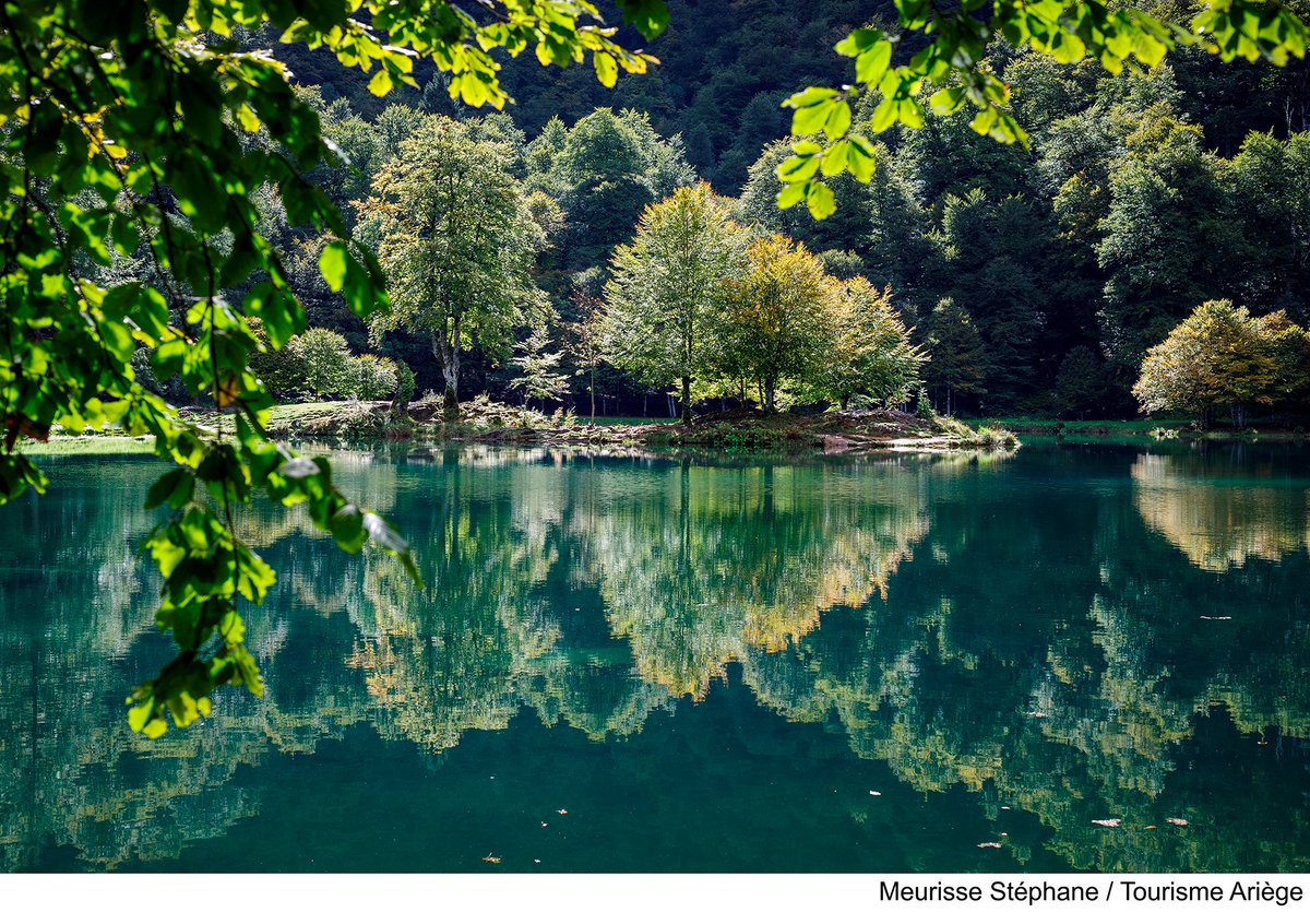 Les lacs d'#Occitanie, un havre de paix pour la #biodiversité💚
De l'#Ariège aux #Pyrénées, ces sites naturels offrent un cadre de choix à la faune & la flore locales🐝🪻
Des ressources précieuses que la #Région s'efforce de préserver⤵️
laregion.fr/Les-lacs-d-Occ…
_
#OccitanieDurable