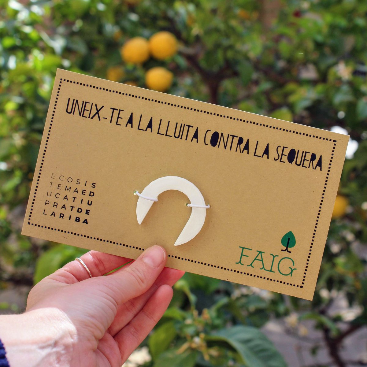 EscPratdelariba's tweet photo. Uneix-te a la lluita contra la sequera!
Compartim l'ERA DE LA SEQUERA a la Fira #SteamMakers, on els centres #Faig d'itinerari 1, els centres de Projectes #Maker i de #RobòticaSteam (#Robolot) hem presentat els projectes treballats.
I recorda:
L'aigua és #brida!
@cesire_cat https://t.co/VbOH27DKlm